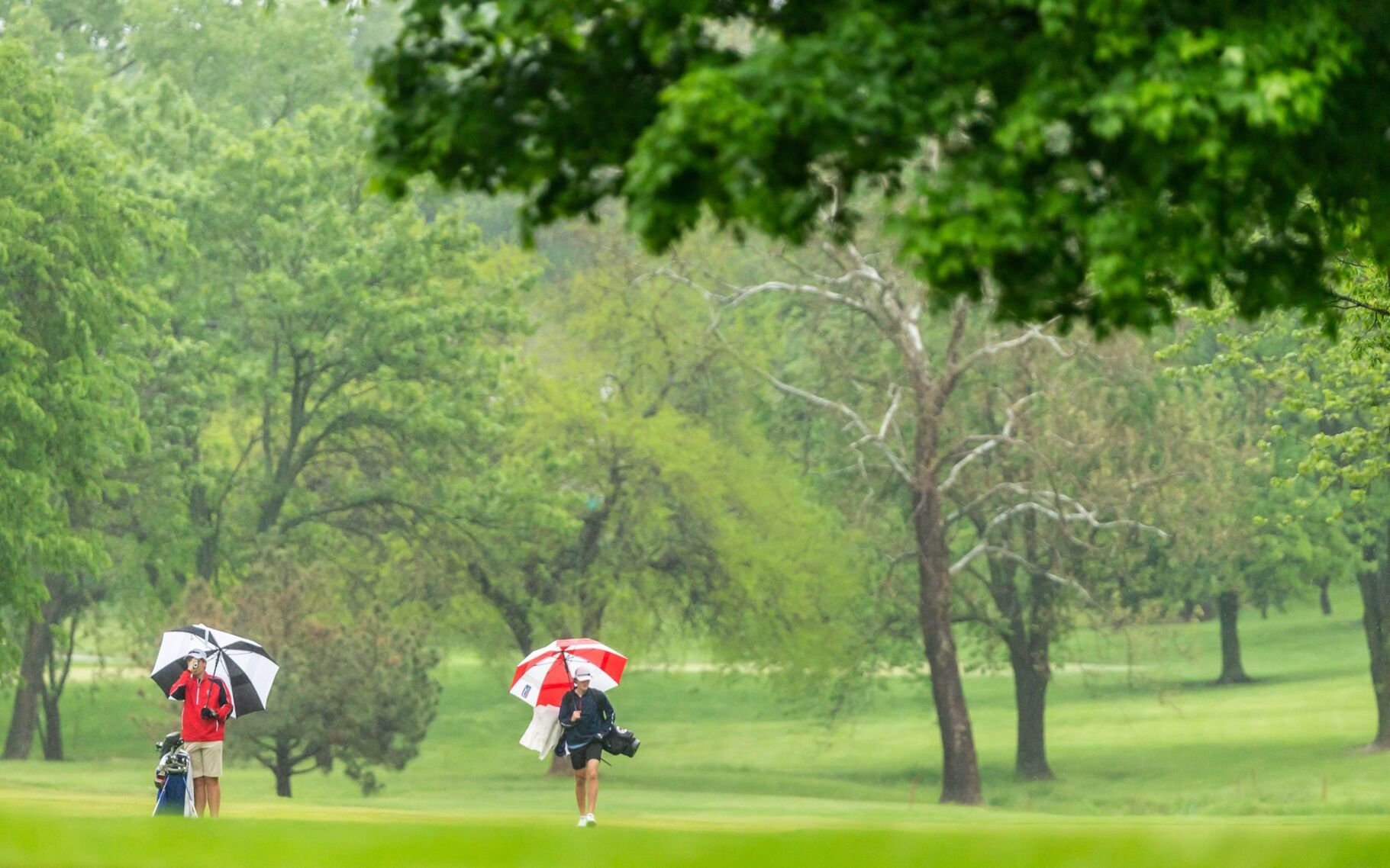Class 5 boys golf state tournament, Round 1